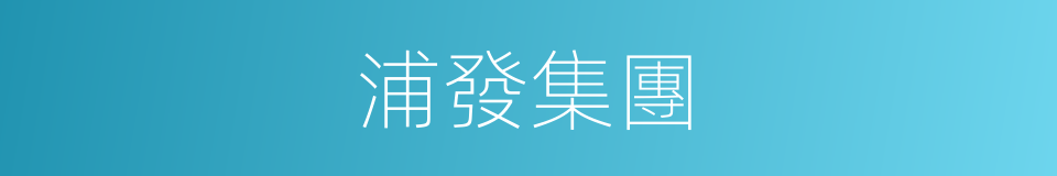 浦發集團的同義詞