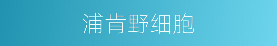 浦肯野细胞的同义词