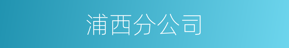 浦西分公司的同义词