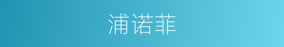 浦诺菲的同义词