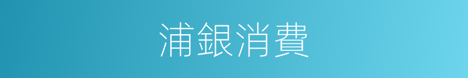 浦銀消費的同義詞