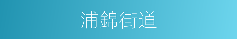 浦錦街道的同義詞
