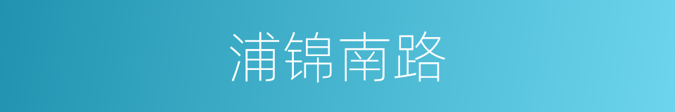 浦锦南路的同义词