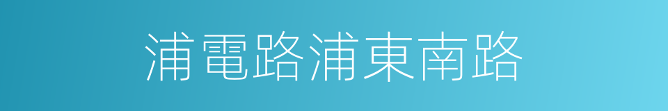 浦電路浦東南路的同義詞