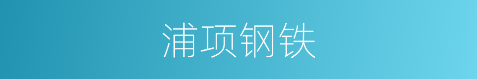 浦项钢铁的同义词