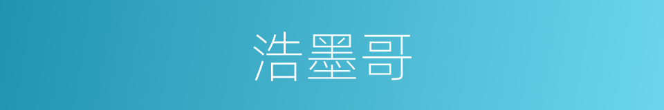 浩墨哥的同义词