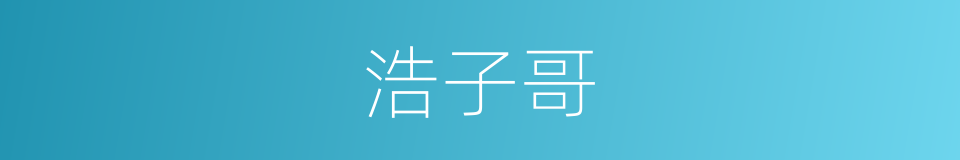 浩子哥的同义词