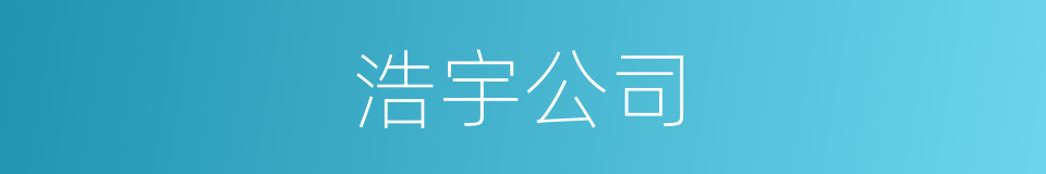 浩宇公司的同义词