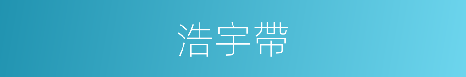 浩宇帶的同義詞