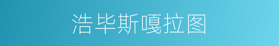 浩毕斯嘎拉图的同义词