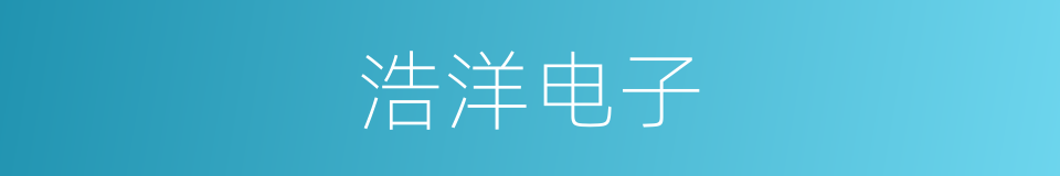 浩洋电子的同义词
