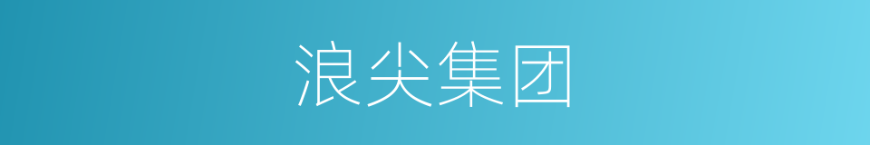 浪尖集团的同义词
