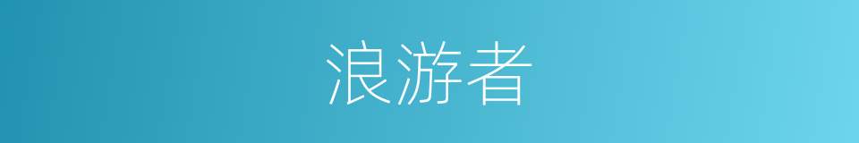 浪游者的同义词