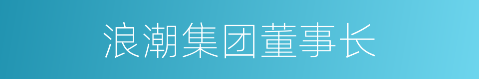 浪潮集团董事长的同义词