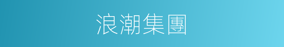 浪潮集團的同義詞