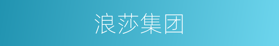 浪莎集团的同义词