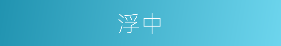 浮中的同义词