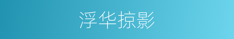 浮华掠影的同义词