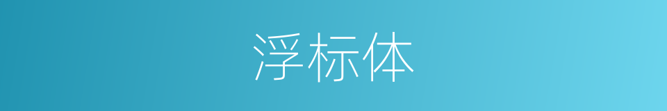 浮标体的同义词