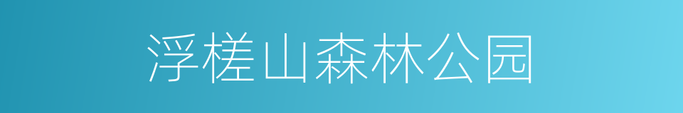 浮槎山森林公园的同义词