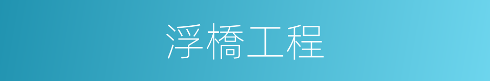 浮橋工程的同義詞
