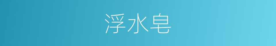浮水皂的同义词