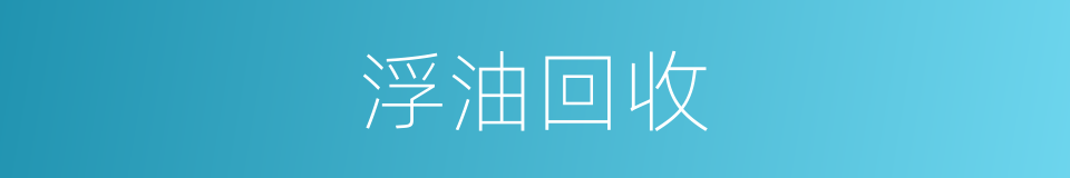 浮油回收的同义词