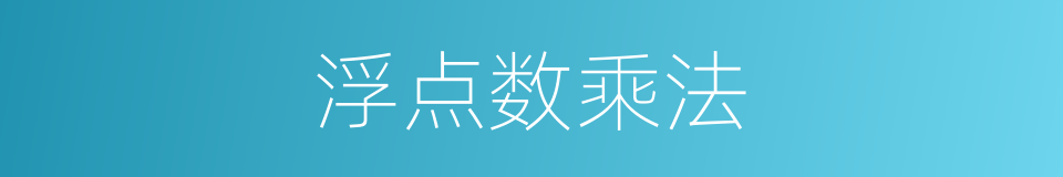 浮点数乘法的同义词