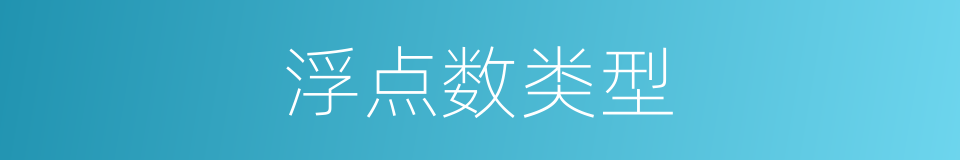 浮点数类型的同义词