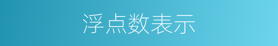 浮点数表示的同义词