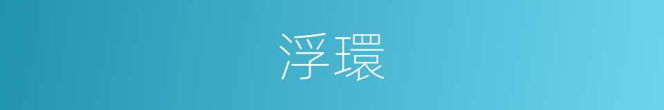 浮環的意思