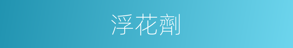 浮花劑的同義詞