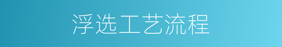 浮选工艺流程的同义词