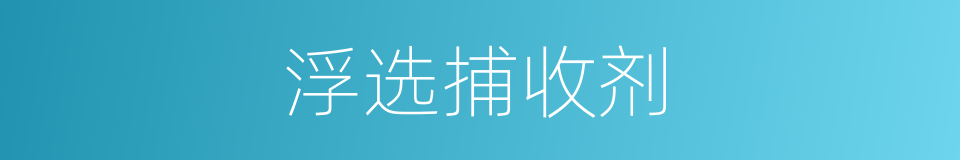 浮选捕收剂的同义词
