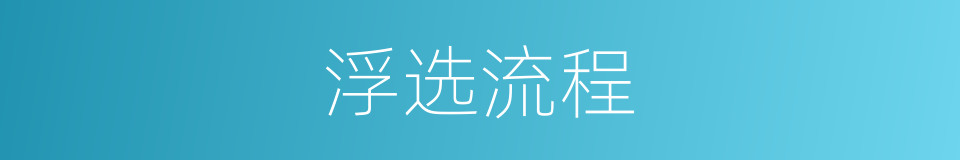 浮选流程的同义词