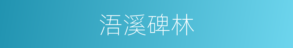 浯溪碑林的同义词
