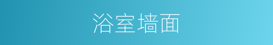 浴室墙面的同义词