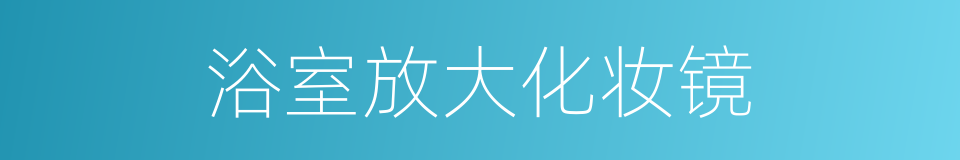 浴室放大化妆镜的同义词