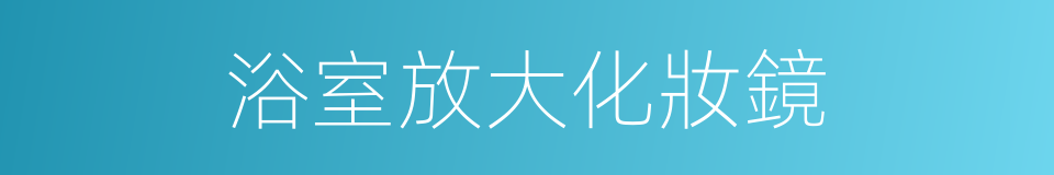 浴室放大化妝鏡的同義詞