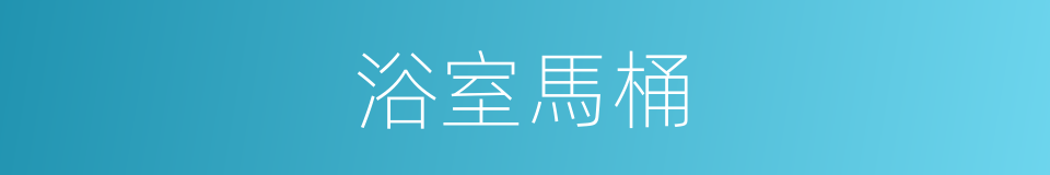 浴室馬桶的同義詞