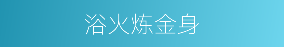 浴火炼金身的同义词