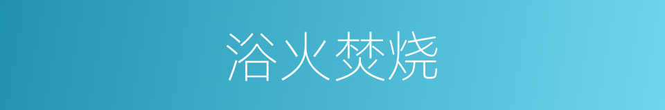 浴火焚烧的同义词
