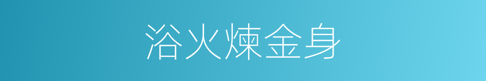 浴火煉金身的同義詞