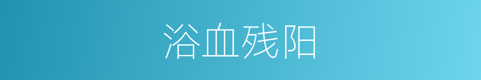 浴血残阳的同义词