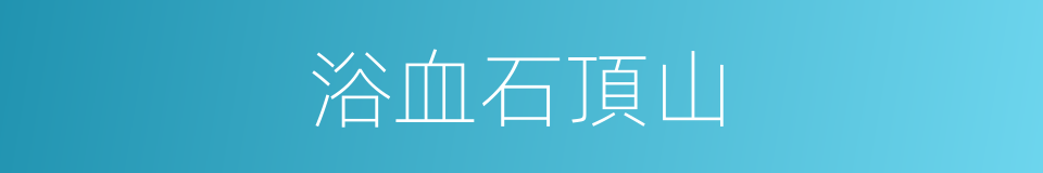 浴血石頂山的同義詞