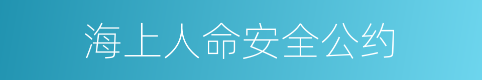 海上人命安全公约的同义词