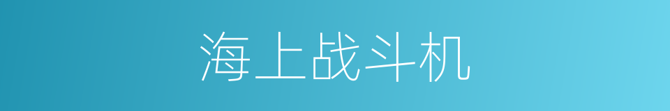 海上战斗机的同义词