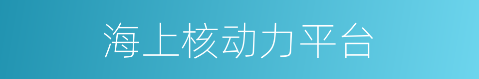 海上核动力平台的同义词