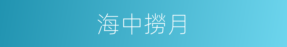 海中撈月的意思