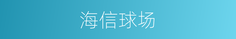 海信球场的同义词